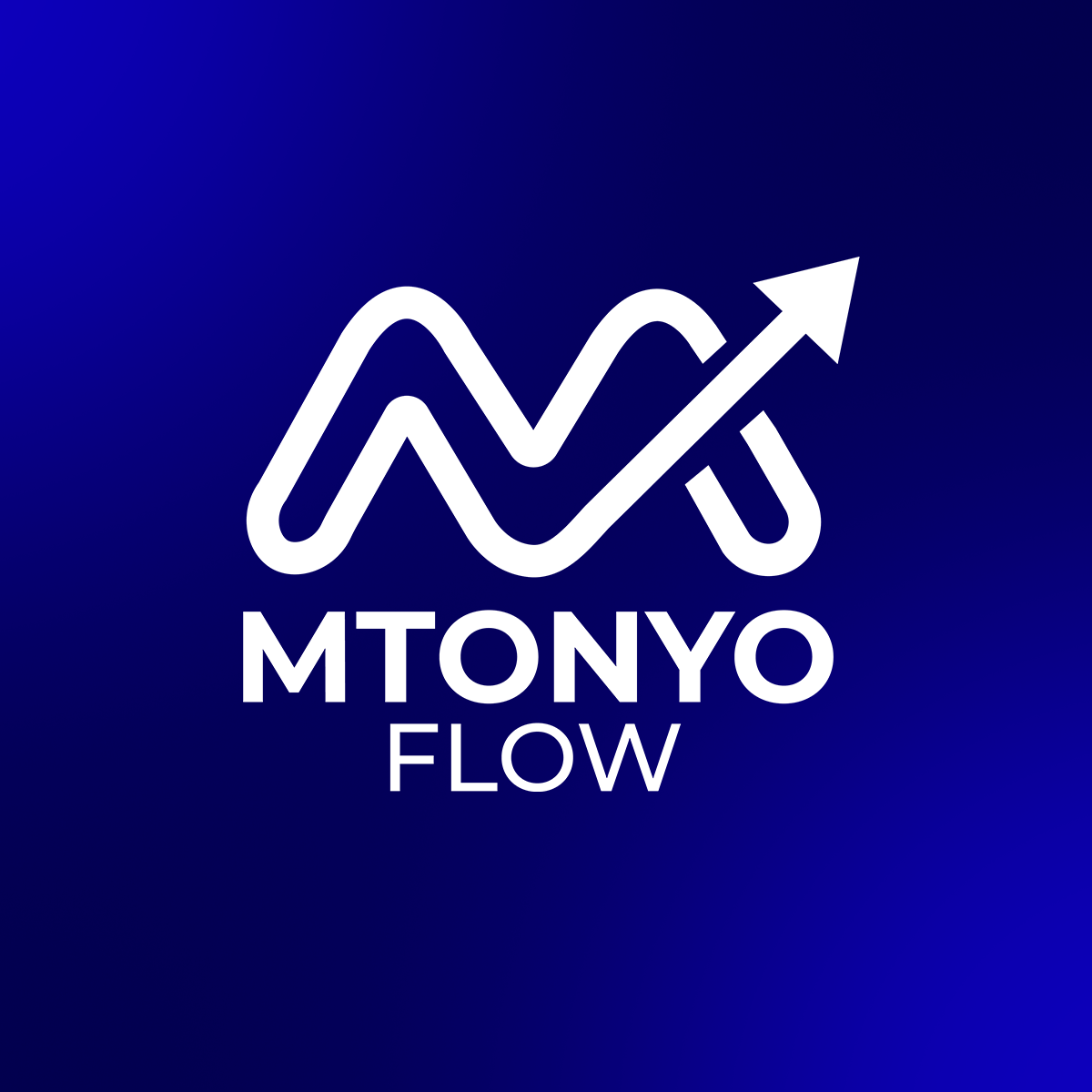 MtonyoFlow - Financial management for Tanzanian SMEs